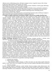 Projektų valdymo medžiaga  16 puslapis
