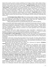 Projektų valdymo medžiaga  17 puslapis