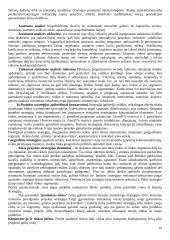 Projektų valdymo medžiaga  19 puslapis