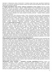 Projektų valdymo medžiaga  3 puslapis