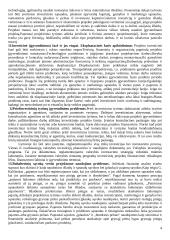 Projektų valdymo medžiaga  4 puslapis