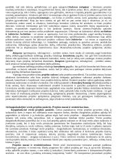 Projektų valdymo medžiaga  6 puslapis