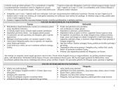 J. V. Gėtės veikėjų analizė 2 puslapis