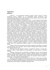 Žinduolių kūno dangos histologija ir jos dariniai 2 puslapis