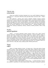 Žinduolių kūno dangos histologija ir jos dariniai 3 puslapis