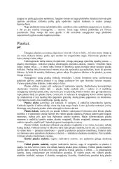 Žinduolių kūno dangos histologija ir jos dariniai 4 puslapis