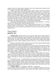 Žinduolių kūno dangos histologija ir jos dariniai 5 puslapis