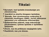 Paveldimosios informacijos perdavimas 2 puslapis