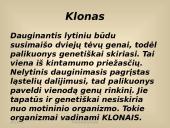 Paveldimosios informacijos perdavimas 17 puslapis