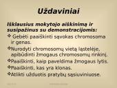 Paveldimosios informacijos perdavimas 3 puslapis