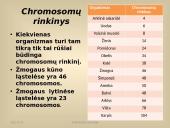 Paveldimosios informacijos perdavimas 7 puslapis