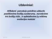 Fosilijos, jų rūšys 2 puslapis