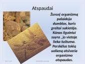 Fosilijos, jų rūšys 12 puslapis