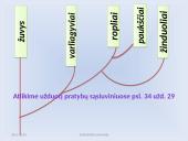 Fosilijos, jų rūšys 15 puslapis