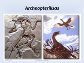 Fosilijos, jų rūšys 17 puslapis