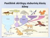 Fosilijos, jų rūšys 19 puslapis