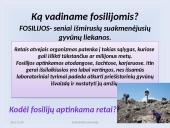 Fosilijos, jų rūšys 4 puslapis