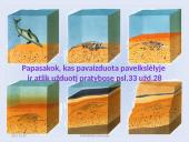 Fosilijos, jų rūšys 6 puslapis