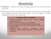 Anglis ir jos alotropija 6 puslapis