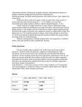 Mokinio dienos rėžimo įvertinimas 2 puslapis