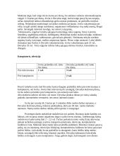 Mokinio dienos rėžimo įvertinimas 3 puslapis