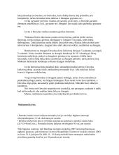 Mokinio dienos rėžimo įvertinimas 4 puslapis