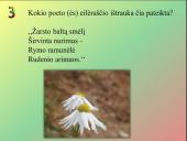 Protmūšis apie Lietuvą 4 puslapis