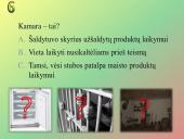 Protmūšis apie Lietuvą 7 puslapis