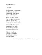 Lietuvių kalbos aprašas: eilėraštis "Ledo pilis" 11 puslapis