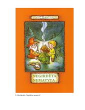 Lietuvių kalbos aprašas: eilėraštis "Ledo pilis" 14 puslapis