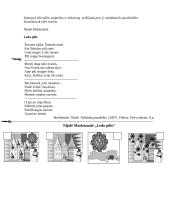 Lietuvių kalbos aprašas: eilėraštis "Ledo pilis" 10 puslapis