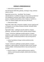 Kūrinio ,,Faustas” aptarimas