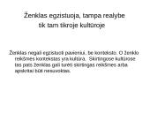 Komunikacijos ženklų sistema 4 puslapis