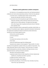 Eksporto prekių transportavimas ir muitinės procedūros 18 puslapis