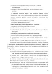 Eksporto prekių transportavimas ir muitinės procedūros 19 puslapis