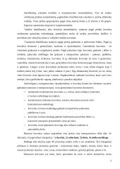 Eksporto prekių transportavimas ir muitinės procedūros 8 puslapis