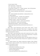 Eksporto prekių transportavimas ir muitinės procedūros 10 puslapis