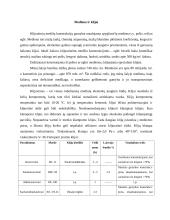 Klijuotinės medžio konstrukcijos 4 puslapis