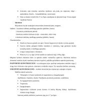 Klijuotinės medžio konstrukcijos 6 puslapis