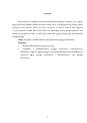 Kolektyvinės ir individualios apsaugos priemonės 2 puslapis