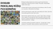 Gyvosios gamtos įvairovė ir jos klasifikavimas 8 puslapis