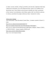 Odisėjo paveikslas ir jo kūrimo būdai 3 puslapis