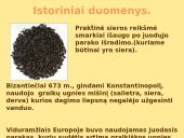 Sieros elementas 14 puslapis