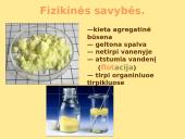 Sieros elementas 17 puslapis