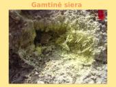 Sieros elementas 6 puslapis