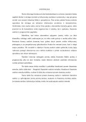 AB „Panevėžio statybos trestas“ veiklos finansinė analizė  2 puslapis