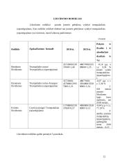 AB „Panevėžio statybos trestas“ veiklos finansinė analizė  12 puslapis