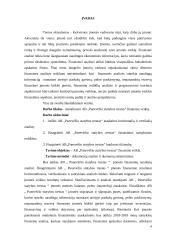 AB „Panevėžio statybos trestas“ veiklos finansinė analizė  4 puslapis