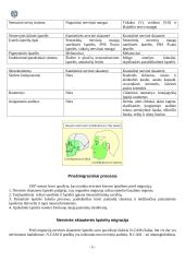 Nervinės skiauterės ląstelių migracijos keliai ir jų sutrikimai 4 puslapis