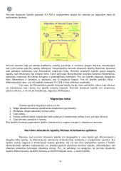 Nervinės skiauterės ląstelių migracijos keliai ir jų sutrikimai 5 puslapis